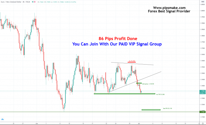 forex signal 4000 pips telegram