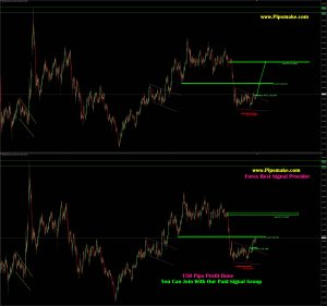 Forex Best Signal Provider